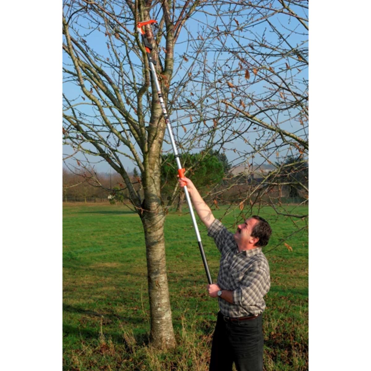 Pértiga Telescópica Bahco AP-5M Aluminio 5 Metros 3 Tramos