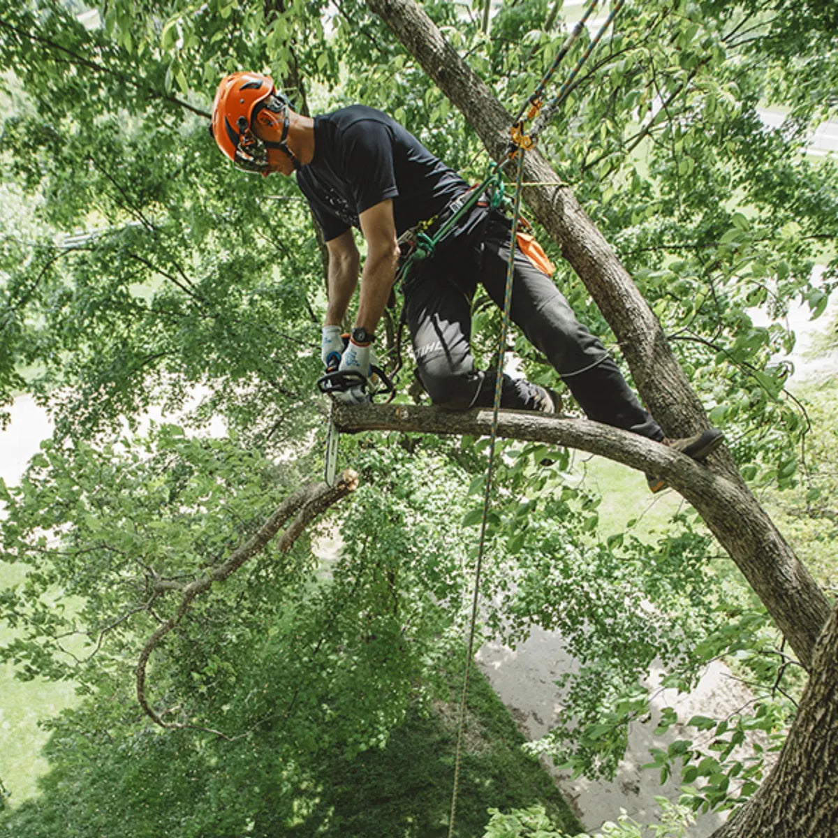 Motosierra Stihl Ms 194 T