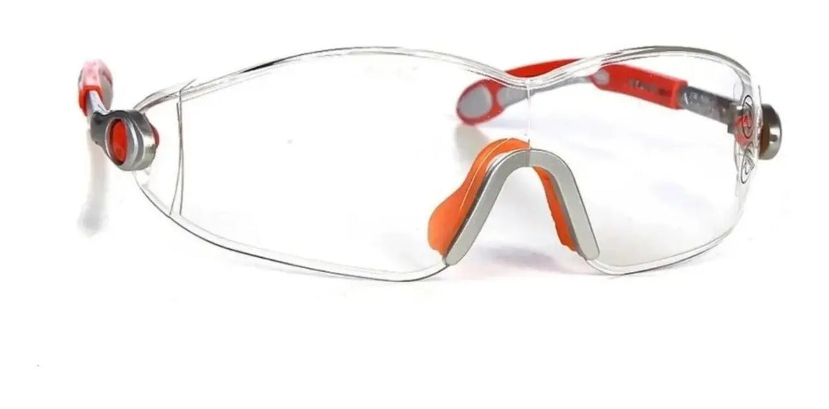 Anteojos Lentes Seguridad Protectores Deltaplus Vulcano X 10