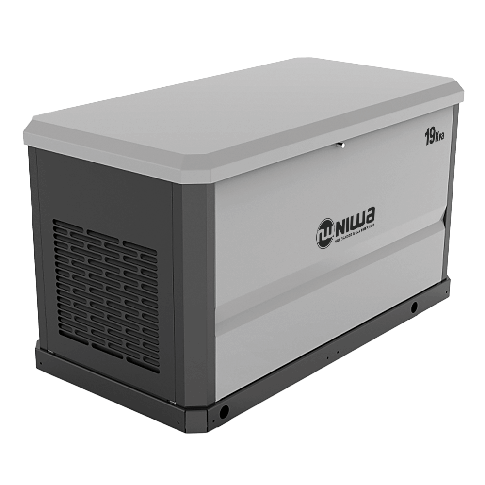 Generador a Gas 36Hp 26 Kw encabinado Niwa GNW-19003-GNLP-ATS