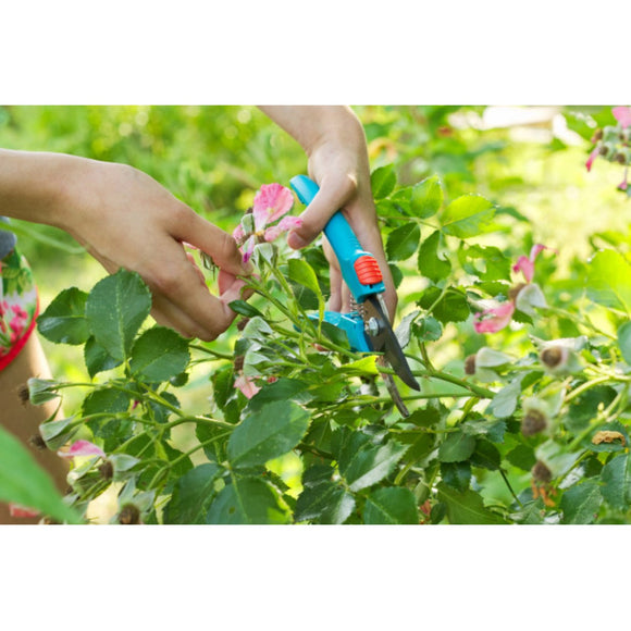 herramientas para jardinería 