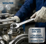 Juego 17 Llaves Combinadas 6-22mm Wolfer Cr-v Profesional