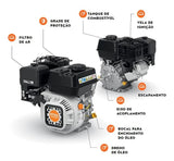 Motor Estacionario Naftero Stihl Original 7.0 Hp 4 Tiempos