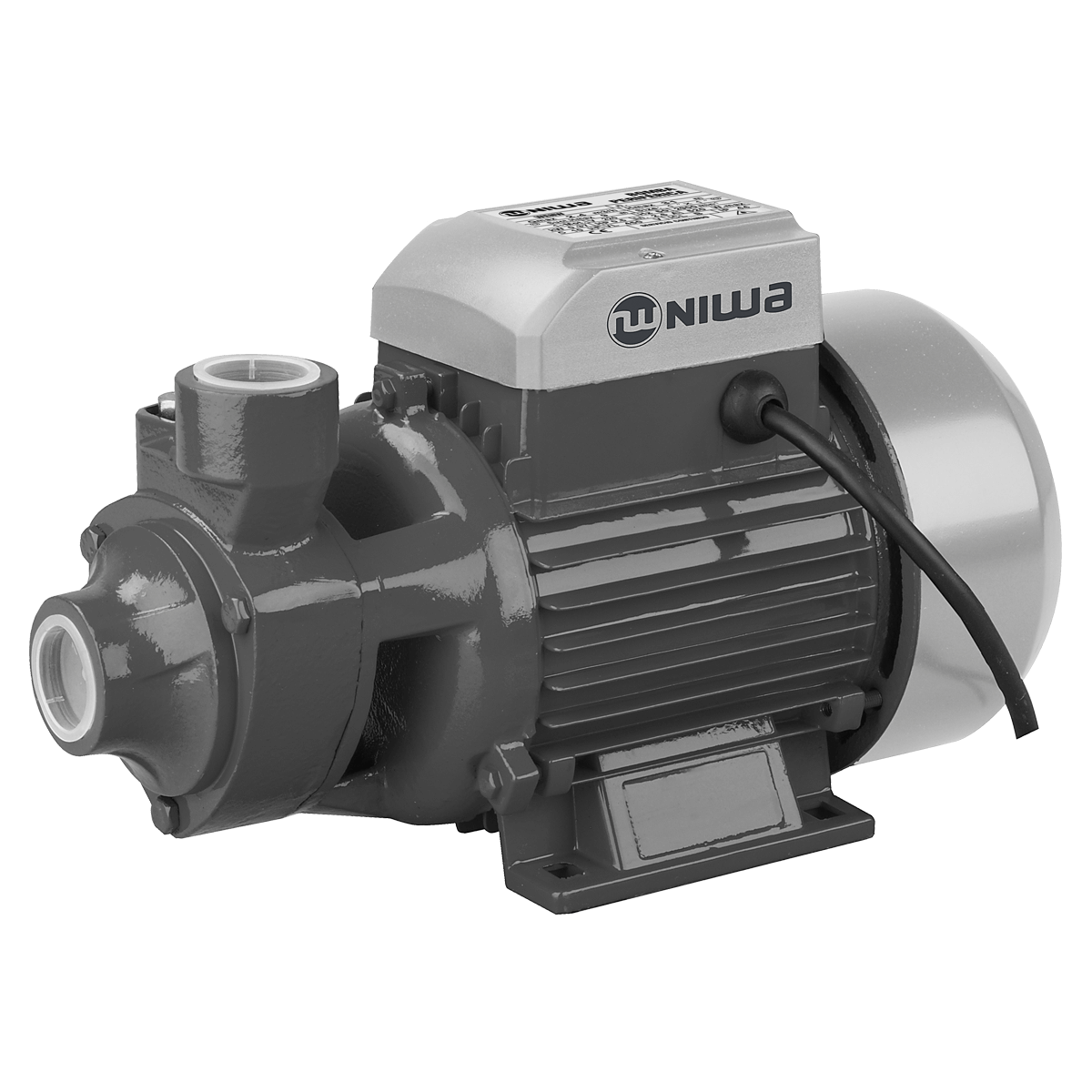 Bomba Periférica Niwa WENW-50P
