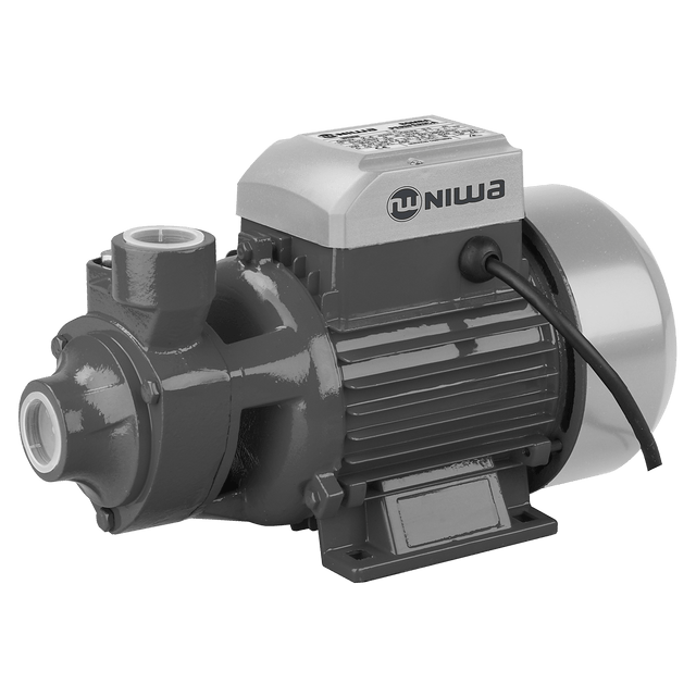 Bomba Periférica Niwa WENW-100P