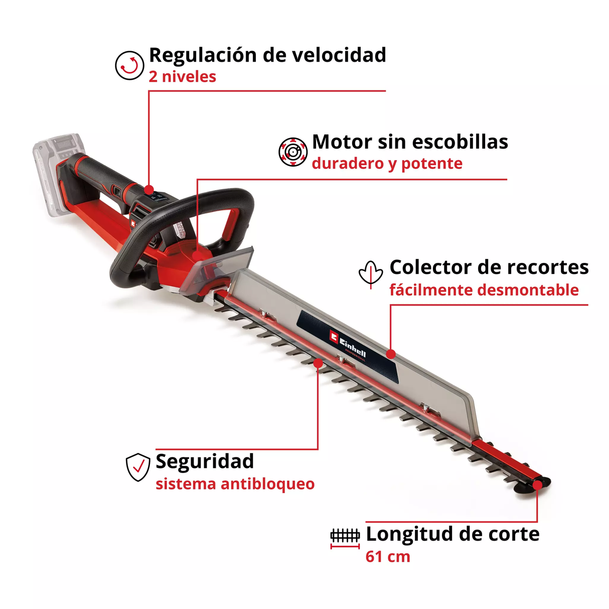 Cortacercos Inalám. Profesional 61cm GP-CH 18/61 LI BL SOLO