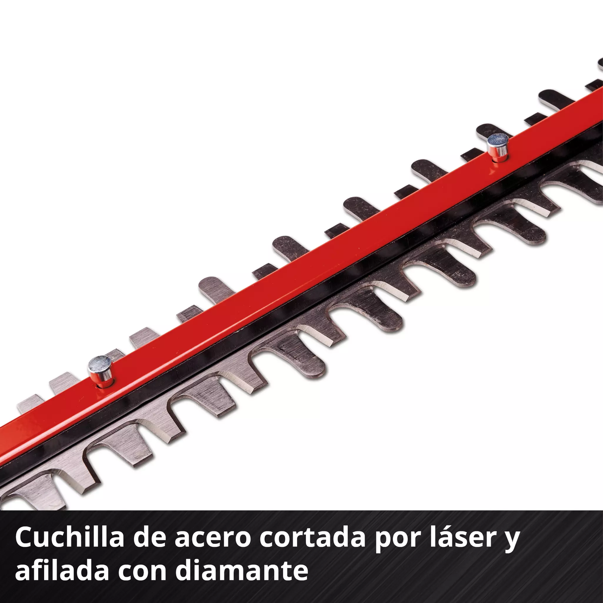 Cortacercos Inalám. Profesional 61cm GP-CH 18/61 LI BL SOLO