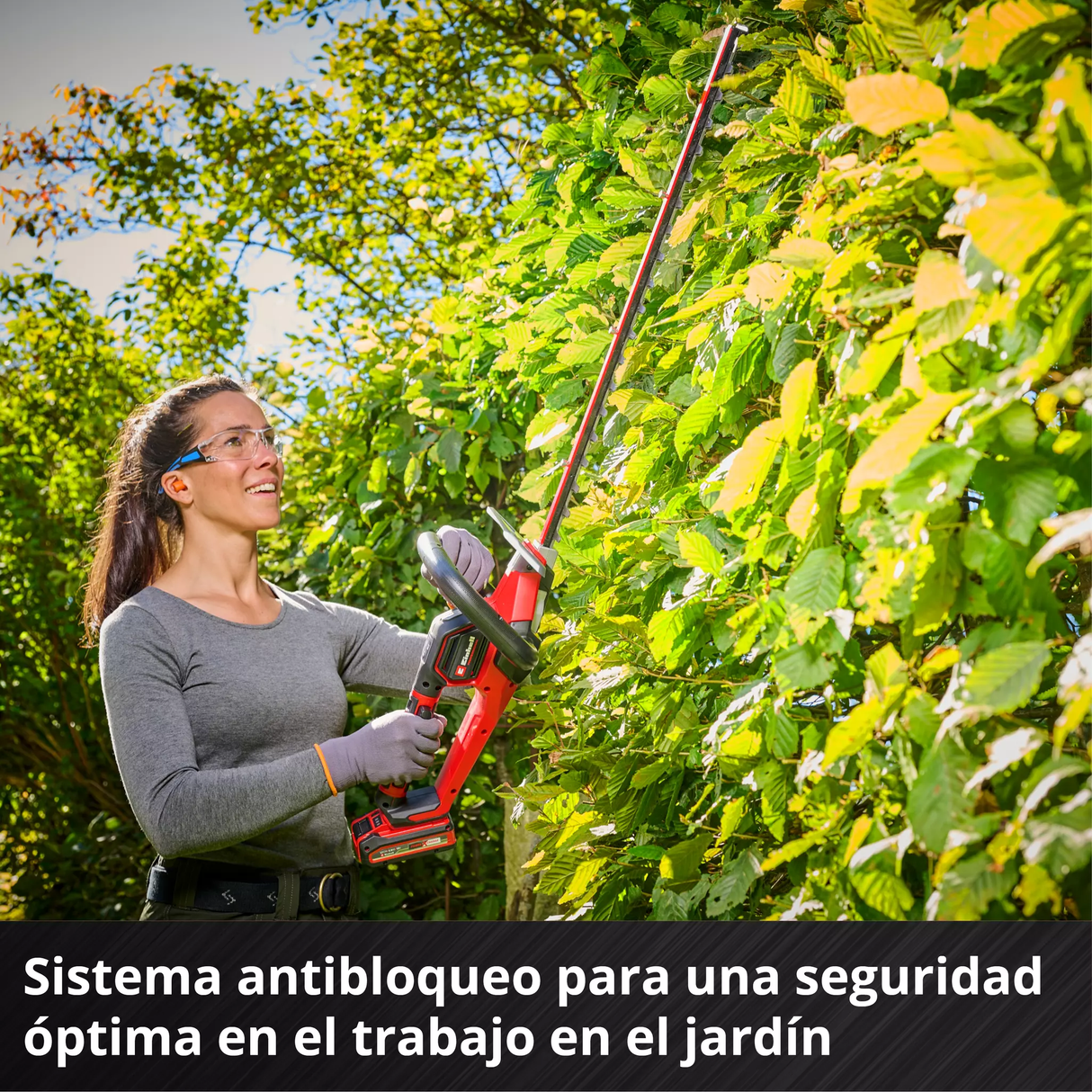 Cortacercos Inalám. Profesional 61cm GP-CH 18/61 LI BL SOLO