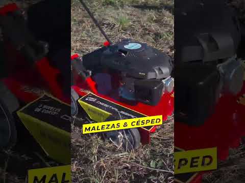 Cortadora De Césped 4T Niwa  6.5 HP M500 Rural Work Profesional trabajo pesado 